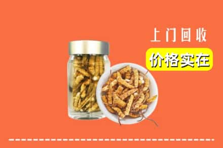 成都市邛崃回收散虫草