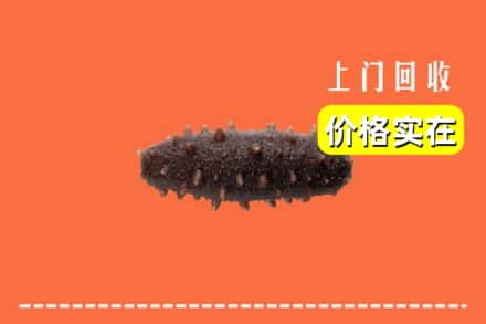 成都市邛崃回收海参