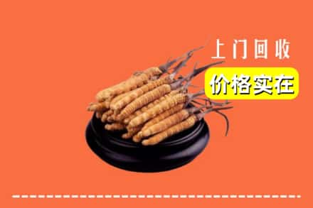 成都市邛崃回收冬虫夏草