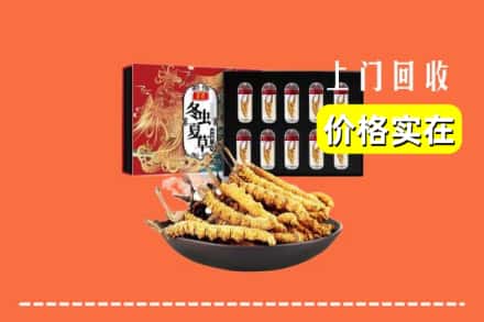 成都市邛崃回收虫草
